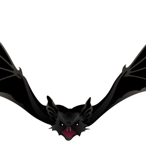 Bat PNG