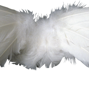Wings PNG