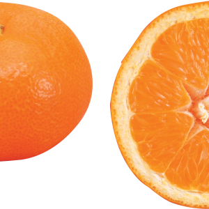 Mandarin PNG
