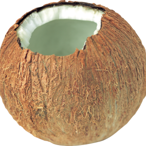 Coconut PNG image