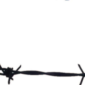 Barbwire PNG