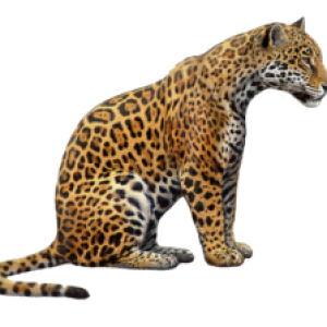 Jaguar PNG