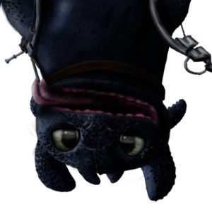 Night Fury PNG