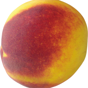 Peach PNG image