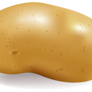 Potato PNG image, pictures, free download
