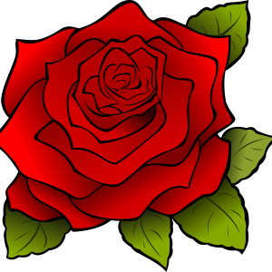 Rose PNG