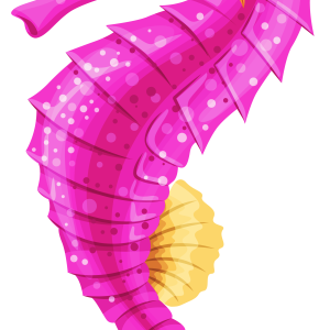 Seahorse PNG