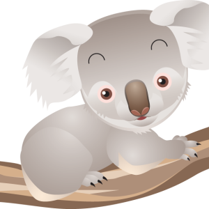 Koala PNG