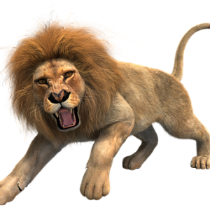 Lion PNG