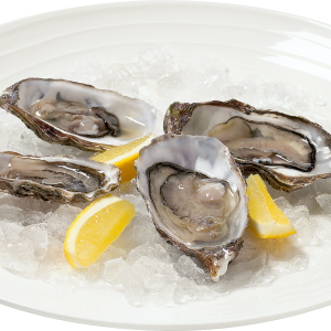 Mussel PNG