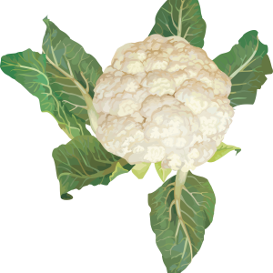 Cauliflower PNG