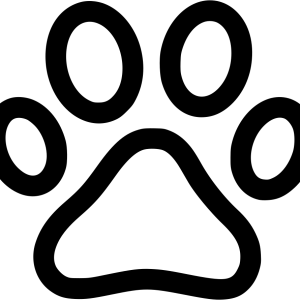 Paw PNG