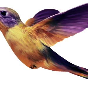Hummingbird PNG