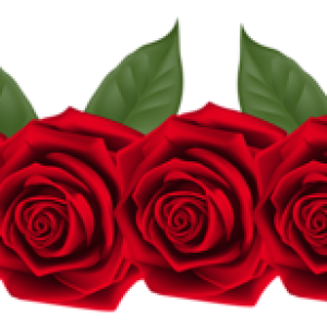 Rose PNG