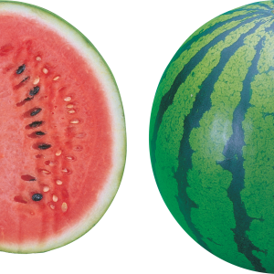 watermelon PNG image