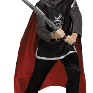 Medieval knight PNG