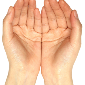 hand PNG