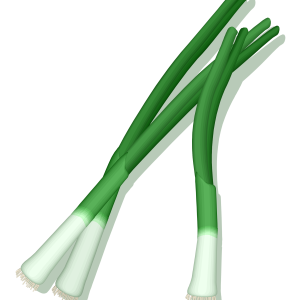 Leek PNG