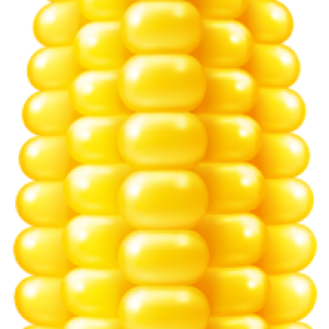 Corn PNG
