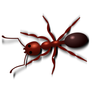 ant PNG