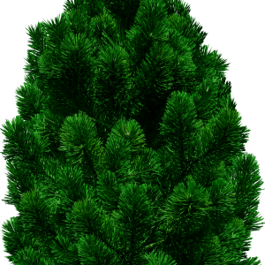tree png image, free download, picture