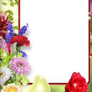 Postcard PNG