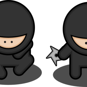 Ninja PNG