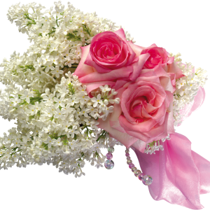 Lilac PNG