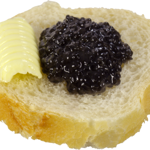 Sandwich PNG image