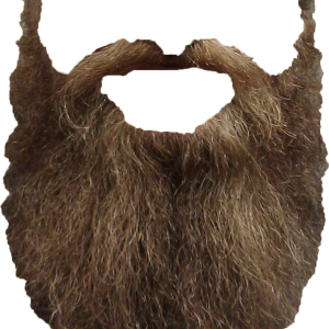 Beard PNG
