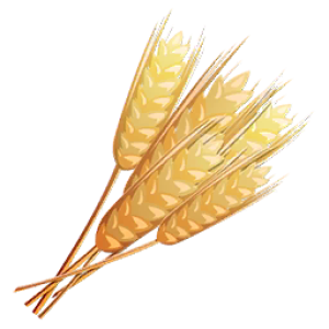 Wheat PNG
