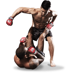 Mixed martial arts PNG, MMA PNG