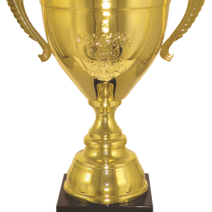 Golden cup PNG