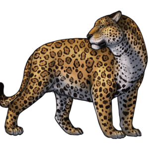 Jaguar PNG