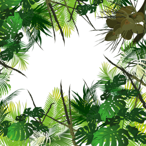 Jungle PNG
