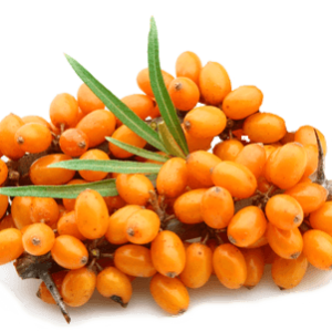 Sea buckthorn PNG
