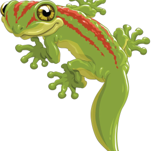 Gecko PNG