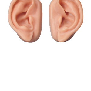 Ear PNG