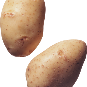 Potato png images