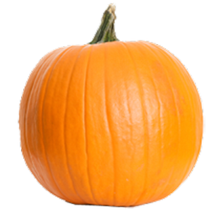 Pumpkin PNG