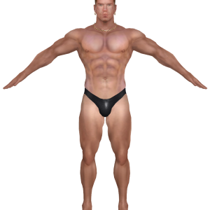 Muscle body PNG