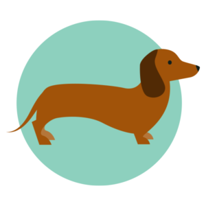 Dachshund PNG