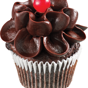 Chocolate cake PNG