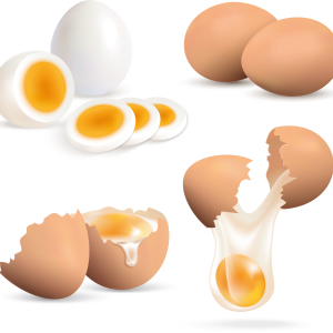 Eggs PNG