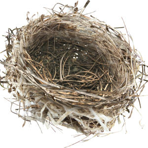 Nest PNG