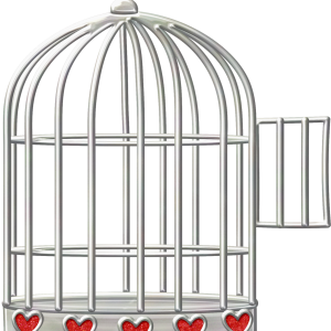 Cage bird PNG