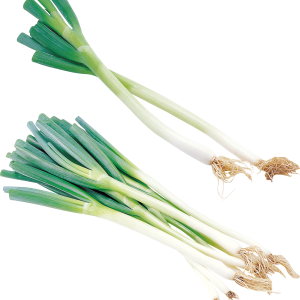 Leek PNG