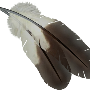 Feather PNG