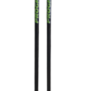 Trekking pole PNG