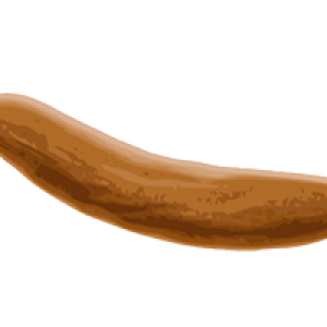 Poop PNG